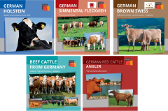 Cattle Export Brochures