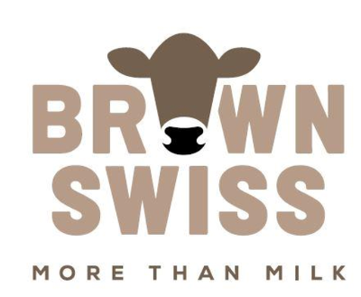 Brown Swiss - More Than Milk